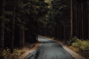 Liten väg genom skog i skymning