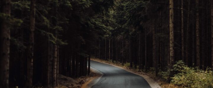 Ljuset som tar dig ut – varför LED-ramper blivit en del av ett aktivt liv Liten väg genom skog i skymning