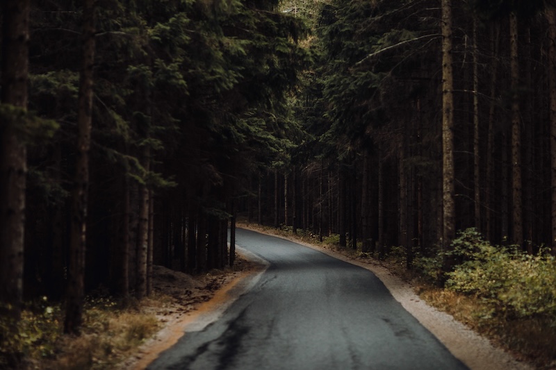 Liten väg genom skog i skymning